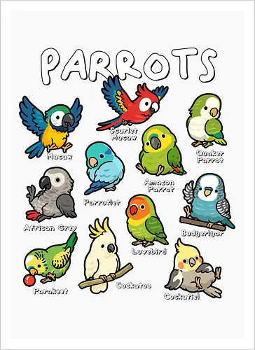 Parrots of the World