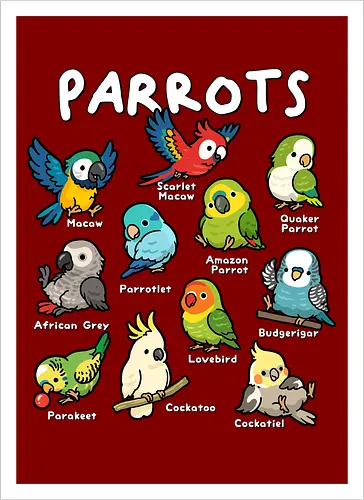 Parrots of the World