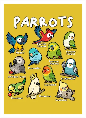 Parrots of the World