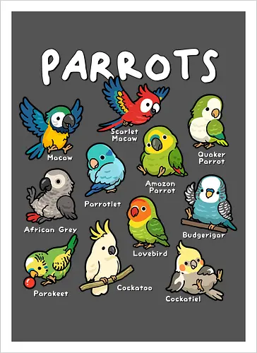 Parrots of the World