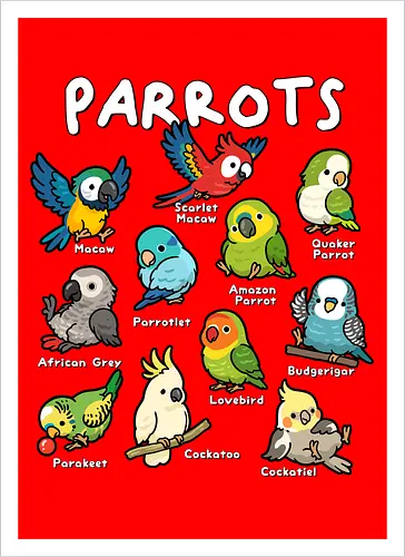 Parrots of the World
