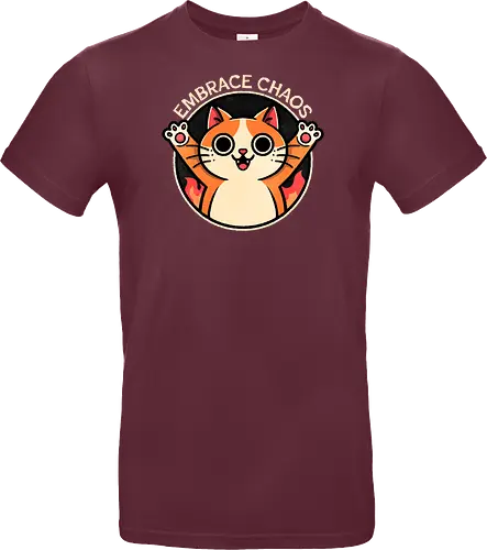 Embrace Chaos Cat