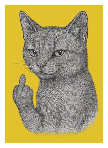 MiddleFingerCat