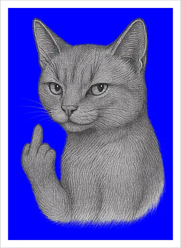 MiddleFingerCat