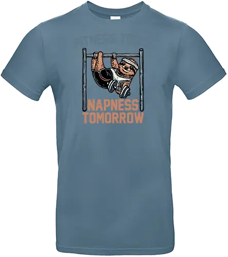 Fitness Today Napness Tomorrow - Fitness, sloth, animal, funny, humor, exercise, work out - Standard T-Shirt