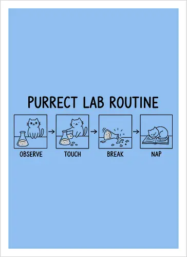 Purrect Lab Routine: Observe, Touch, Break, Nap