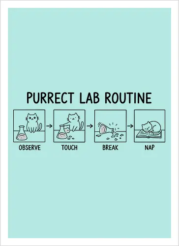 Purrect Lab Routine: Observe, Touch, Break, Nap
