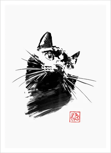 chat