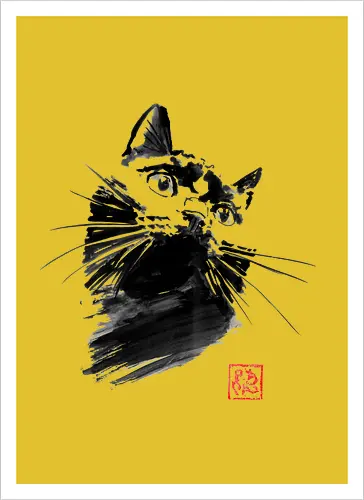 chat