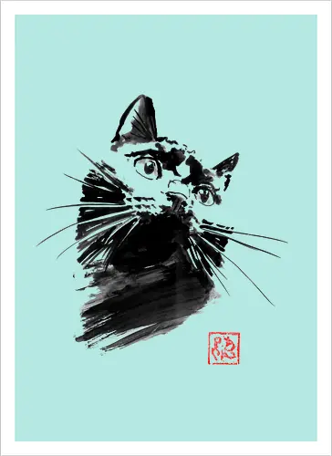chat