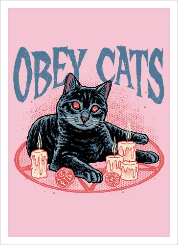 Obey Cats