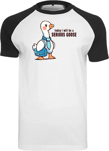 Today I Will be a Serious Goose