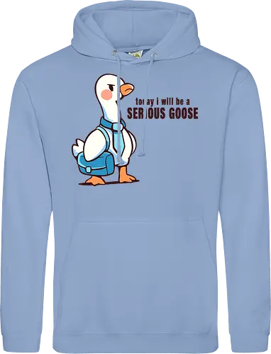 Today I Will be a Serious Goose