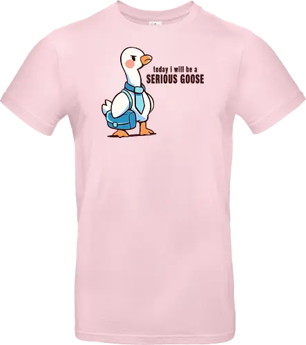 Today I Will be a Serious Goose