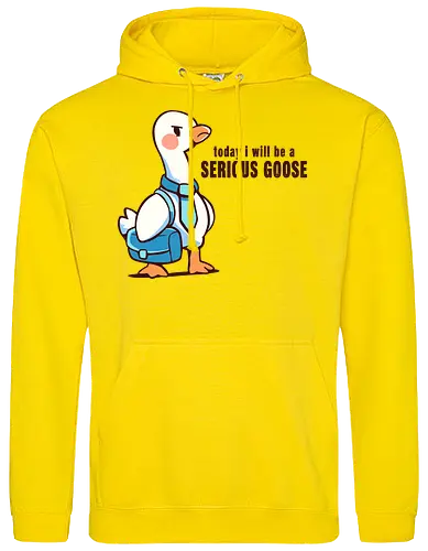 Today I Will be a Serious Goose