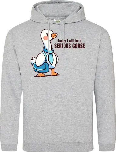 Today I Will be a Serious Goose