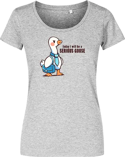 Today I Will be a Serious Goose