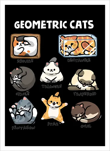 Geometric Cats