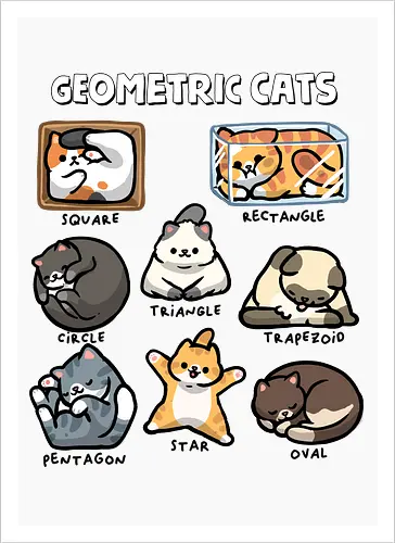 Geometric Cats