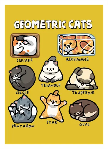 Geometric Cats