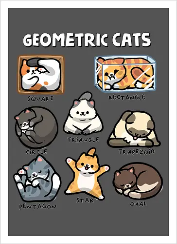 Geometric Cats