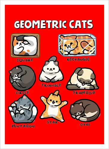 Geometric Cats