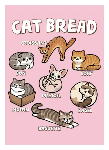 Cat Bread