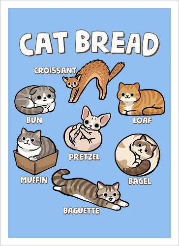 Cat Bread
