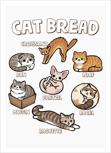 Cat Bread