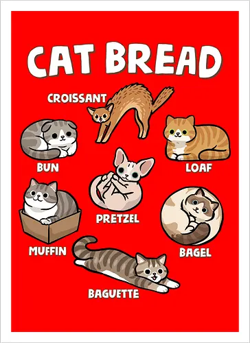 Cat Bread