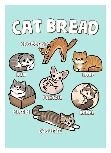 Cat Bread
