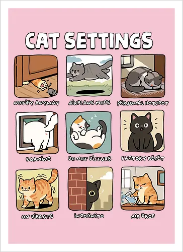 Cat Settings