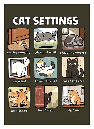 Cat Settings