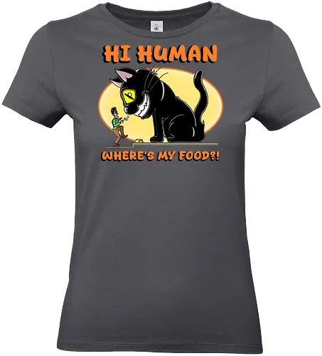 Lustiger Anime-Manga-Katzenbesitzer-Sarkasmus - anime, manga, katze, riesige katze, katzenbesitzer, katzenhumor, lustig, sarkasmus, niedlich, kawaii, cartoon katze, comic stil, futter, hunger, haustier, otaku, japanischer stil, witziges motiv, funny design, meme stil, popkultur, geschenkidee, trendig, tierillustration, humorvoll - Standard T-Shirt (Frauen)