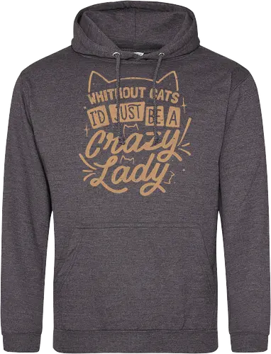 Crazy Lady Without Cats