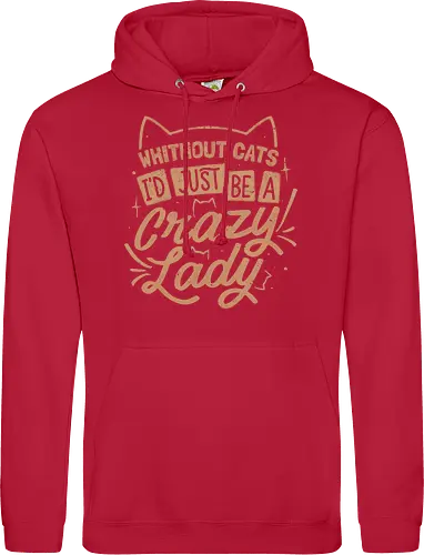 Crazy Lady Without Cats
