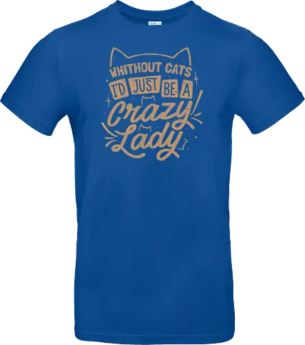 Crazy Lady Without Cats