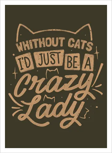 Crazy Lady Without Cats