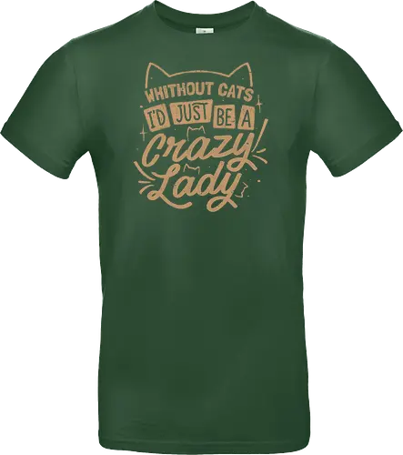 Crazy Lady Without Cats