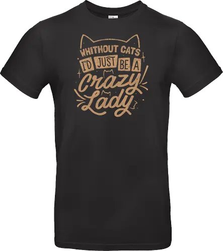 Crazy Lady Without Cats