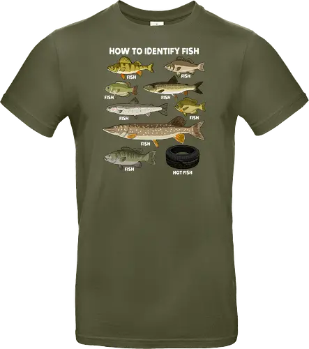 How to Indetify Fish