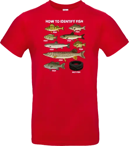 How to Indetify Fish