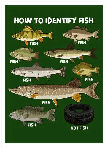 How to Indetify Fish