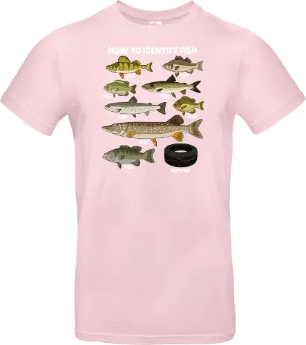 How to Indetify Fish