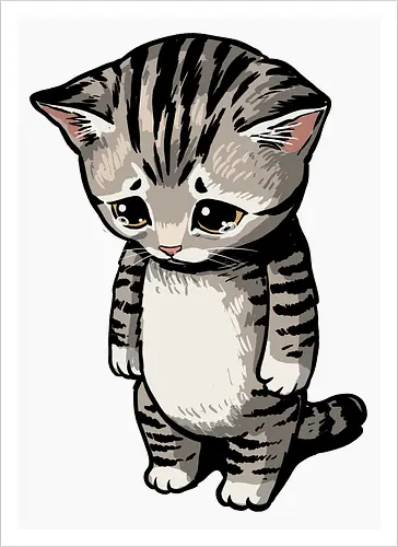Sad Cat Meme