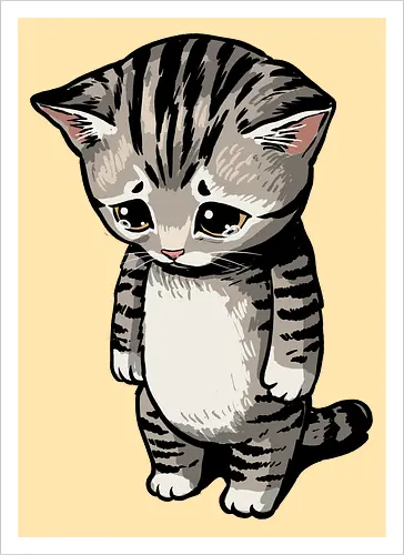 Sad Cat Meme