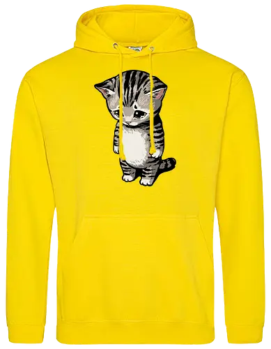 Sad Cat Meme
