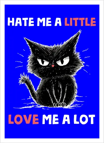 Hate Me A Little Love Me A Lot