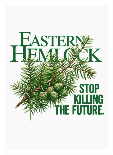 Natur Östliche Hemlocktanne – Kunst zur Sensibilisierung für den Wald