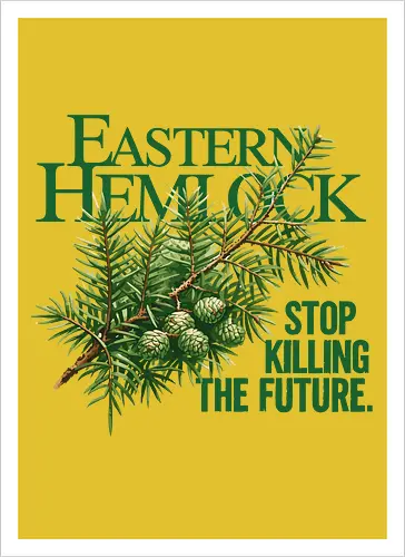 Natur Östliche Hemlocktanne – Kunst zur Sensibilisierung für den Wald